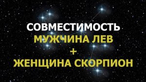 Совместимость мужчины Льва и женщины Скорпиона