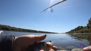 Лёгкий джиг Джиг риг Рыбалка на Оке Спиннинг