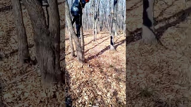 Самое эпичное падение с метровой высоты))) смотреть онлайн