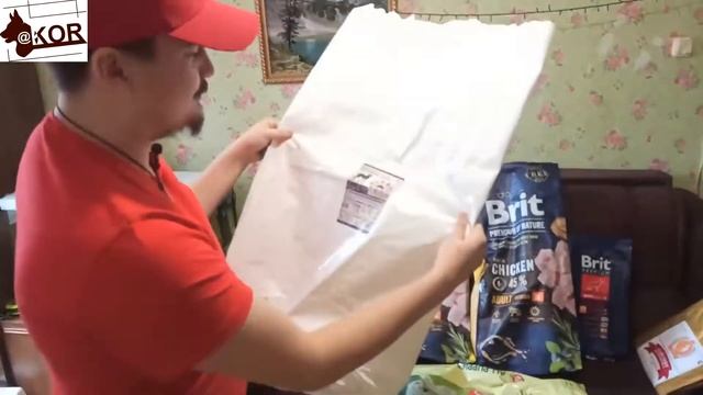 Корма для собак. Чем кормить? где покупать? смотреть онлайн