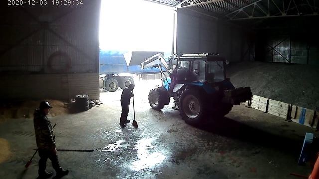 Отгрузка пшеницы. Грузим на мтз 952.2+фронтальный погрузчик большая земля смотреть онлайн