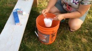 Мои томаты ( помидоры ) заболели Фитофторой / Лечение фитофторы зубной пастой / Третий этап лечения