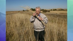 Курьинский район Алтайского края