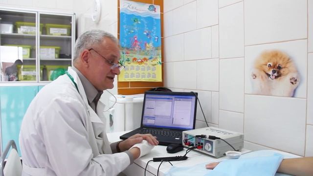 Диагностика ВРТ