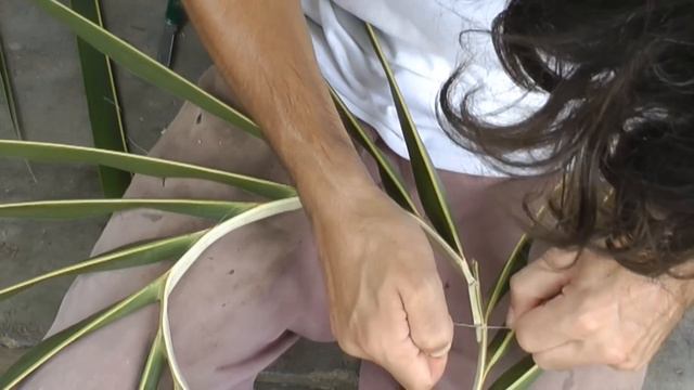 How to make a Coconut Palm Leaf Hat - Part 1 of 2! смотреть онлайн