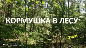 Пень кормушка в лесу. Интересная находка в глухом лесу. Стихи детям.