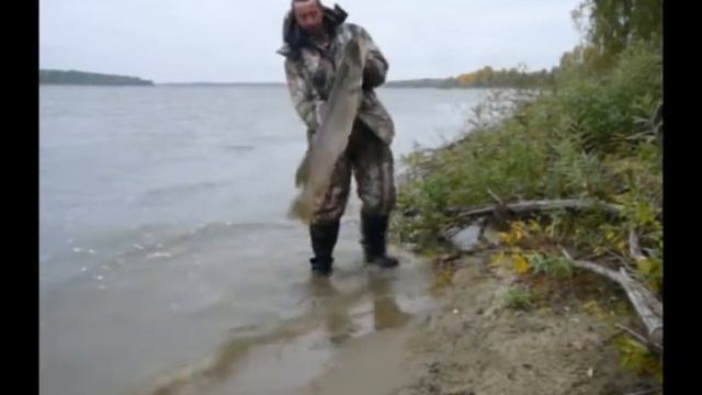 МОНСТР 12,5 кг смотреть онлайн