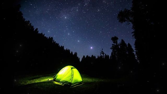 Звуки ночной природы, сверчков, обитателей леса/Sounds of night nature, inhabitants of the forest.