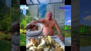 Ивинский разлив, рыбалка на Ивинских разливах