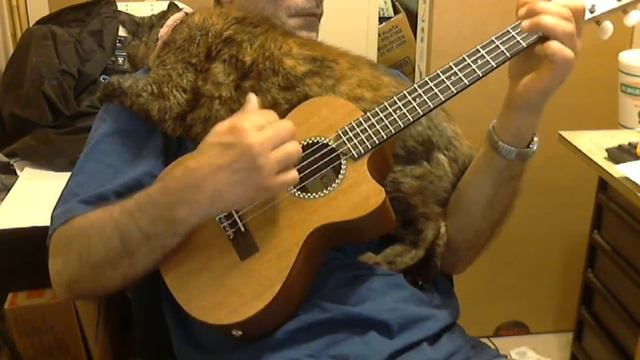 Cordoba 20TM-CE Ukulele Demo
