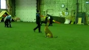 Ка Де Бо показывает класс