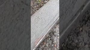 Беседка своими руками в стиле хайтек