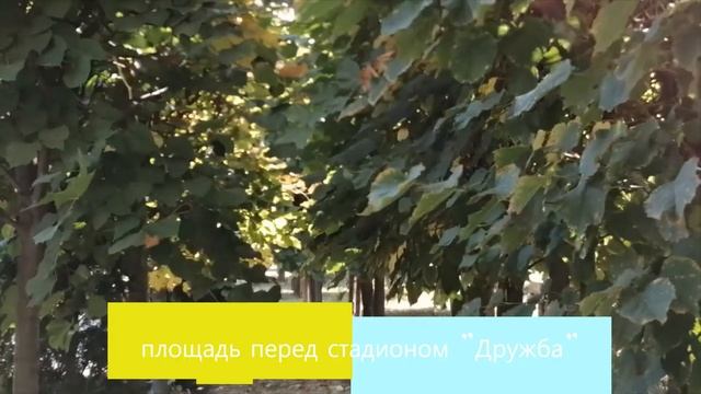 1 Провинциальный городок
