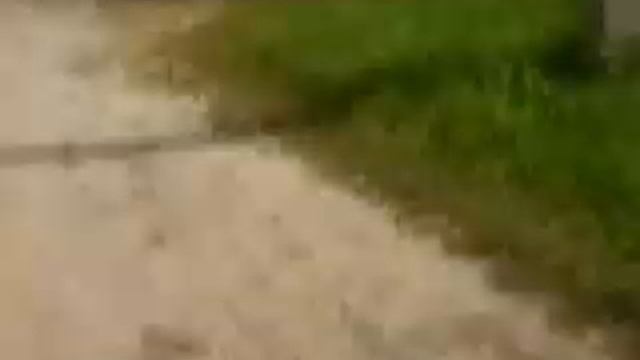 Как забрать посылку из Китая без паспорта смотреть онлайн