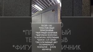 Входная дверь ТМ РЕТВИЗАН модель ТЕСЕЙ 100 ТЕРМО