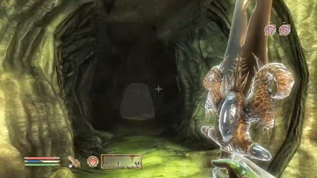 The Elder Scrolls IV Oblivion/ Shivering Isles/ Cap 4/ El Cáliz de la inversión/ #33 смотреть онлайн