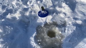 Рыбалка на диком озере тайги. Экспедиция в Архангельскую область.