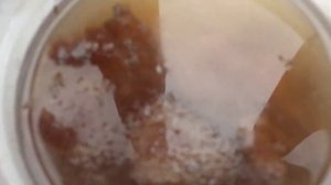 Разведение грибов на дачном участке.Разведение грибов