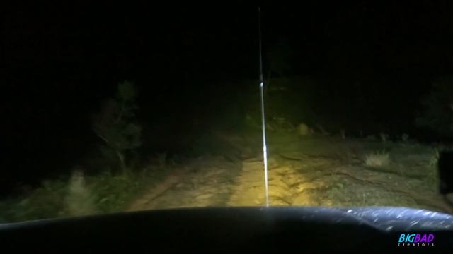 Radar Renegade RT Tire Review 2021  First 1000km