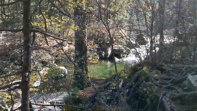 Путь к Смольным водопадам