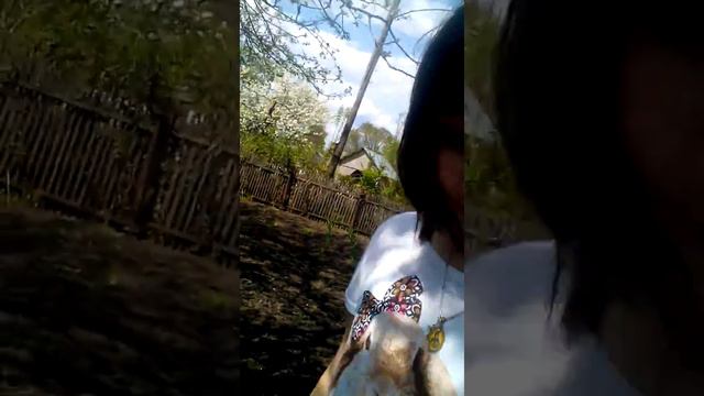 Ура.......... Люблю дачу 🍪🍪🍪 смотреть онлайн