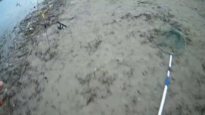 Рыбалка на Иртыше в Омске. Июнь 2018
