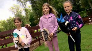 Тренд, бренд, спорт: эксперты заявили, что хоббихорсинг полезен для детей