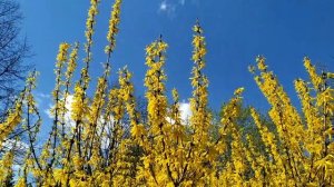 Медное колечко 1 - 4 серии | Мелодрама 2021