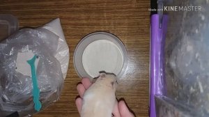 КАК КУПАТЬ ХОМЯКА?! Песок для грызунов| ХОМЯК КУПАЕТСЯ