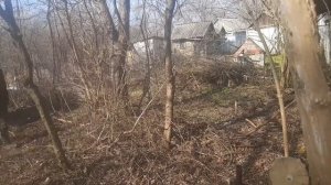 Купил заброшенный участок с домом, привожу его в порядок (1.ч.)