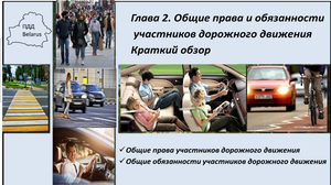 Глава 2. Общие права и обязанности участников дорожного движения. Краткий обзор