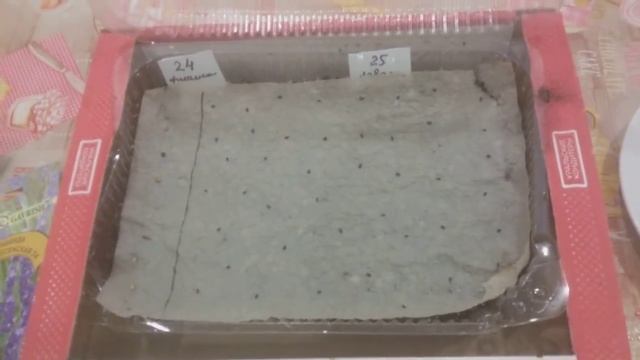 Посадка методом "декупажа" лаванды,аквилегии,душистой фиалки для стратификации смотреть онлайн