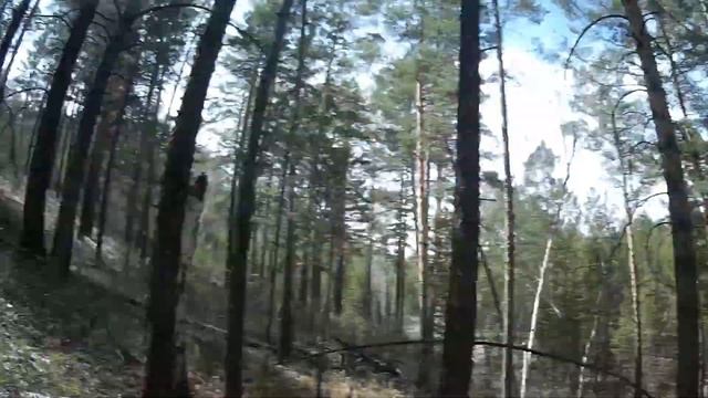 ЗА БЕРЁЗОВЫМ СОКОМ DEPARTURE FOR BIRCH JUICE смотреть онлайн