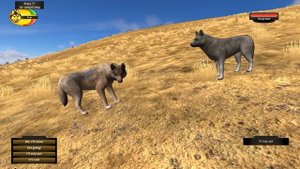Реалистичный симулятор волка ! ( Wolf quest )