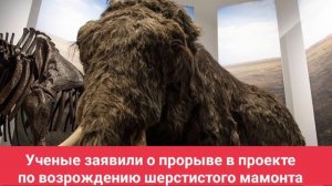 Ученые заявили о прорыве в проекте по возрождению шерстистого мамонта
