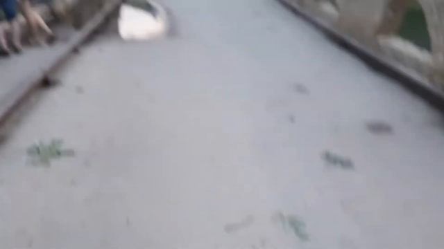 Кудыкина гора 2020 смотреть онлайн