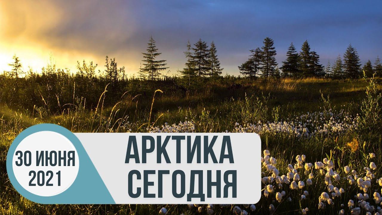 Арктика сегодня: «Арктический гектар», «зеленая» энергетика, наука