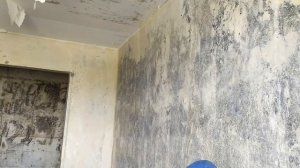 Валик против краскопульта. Что лучше?