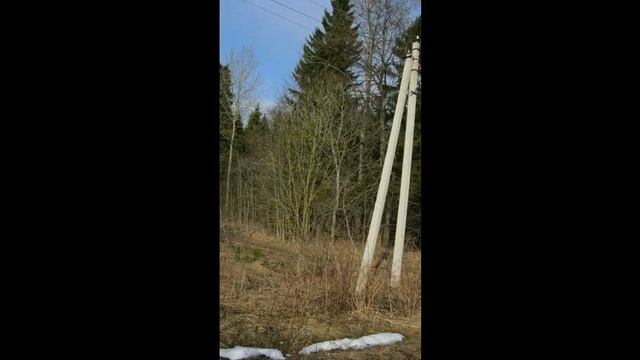 Продается участок 7,5 соток в СНТ Рябинка Истринского района МО смотреть онлайн