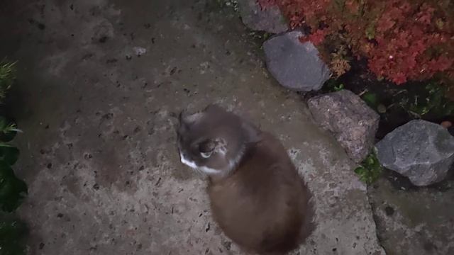 Лето, оно такое... смотреть онлайн