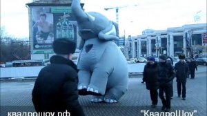 Надувной костюм "Слон" для промо-акций от "КвадроШоу"