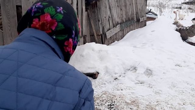 Дед Матвей начальник!