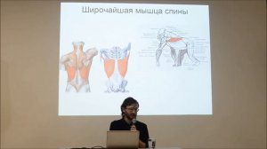 Станислав Дробышевский. Про качков и рудименты.