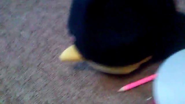 angry birds epic save bomb смотреть онлайн