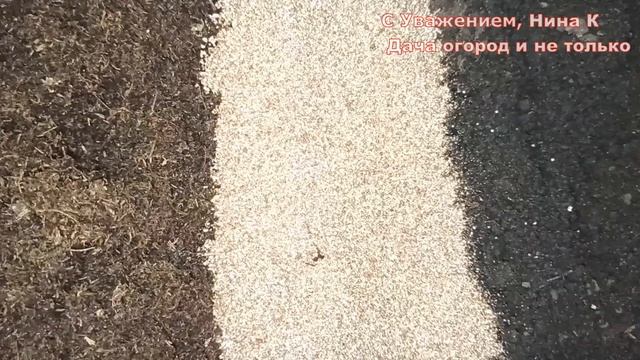 ПОЧВУ ДЛЯ КРЕПКОЙ РАССАДЫ ГОТОВИМ ПЕРЕД ПОСАДКОЙ! СУПЕР ГРУНТ СВОИМИ РУКАМИ ЗА КОПЕЙКИ.