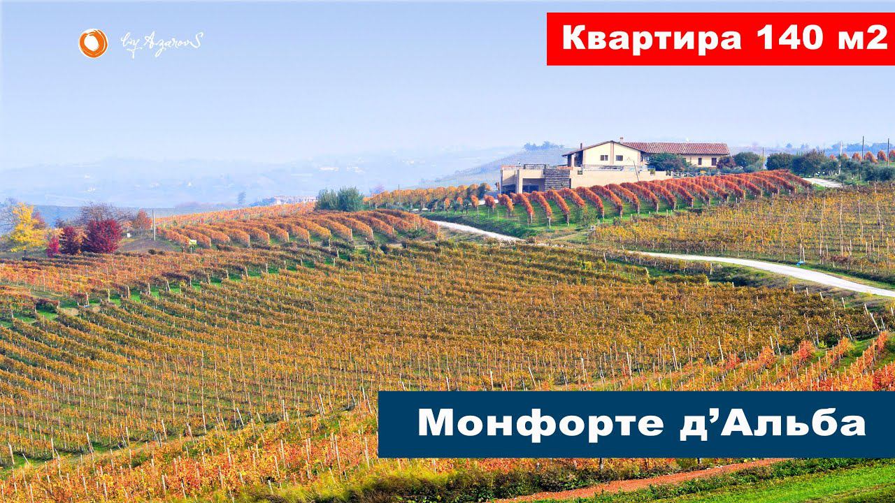 Монфорте д’Альба квартира в виноградном раю - Недвижимость в Пьемонте, Кунео