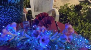 Мальдивы 2023 ??о.Бодуфолуду /Обзор отеля  Lagoon View / ДР на райском острове / Попал в госпиталь