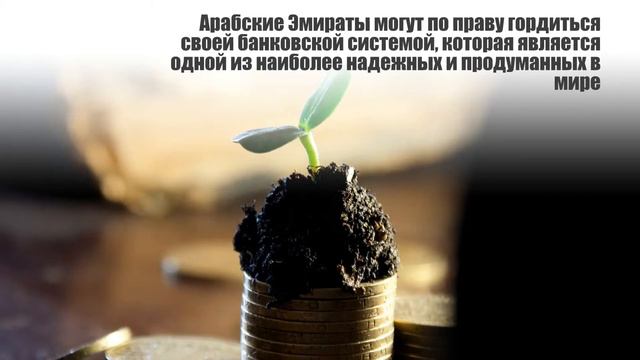 Открытие банковских счетов ОАЭ смотреть онлайн