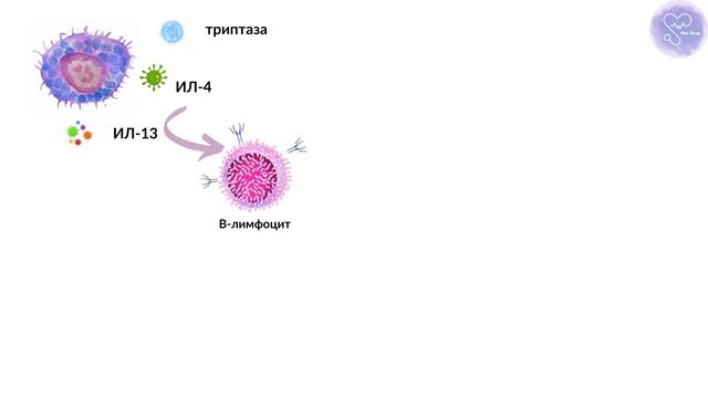 Анафилаксия.Қазақша. Симптомдары,емі,диагнозы. Анафилактикалық шок.