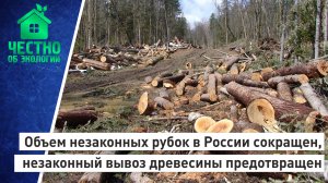 Объем незаконных рубок в России с 2018 года сокращен, незаконный вывоз древесины предотвращен